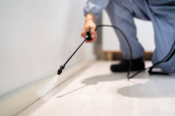 Licensed Termite Control service in Silver Ridge, NJ - Show Me Pest Control