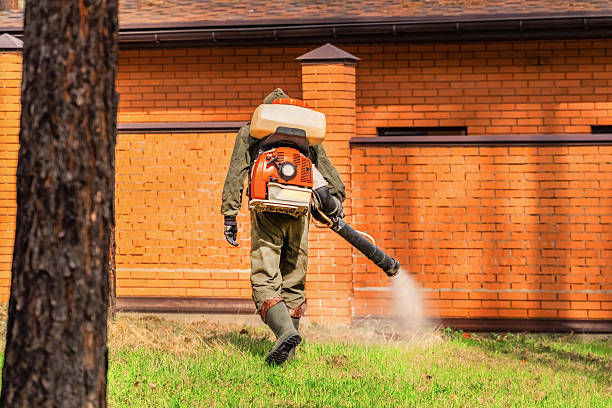 Top rated local Ant Control specialists in Silver Ridge, NJ